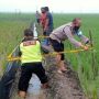 Pemuda Tuban Tergeletak Tewas di Sawah, Tangan Pegang Kabel Jebakan Tikus