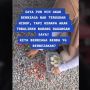 Viral Lapak Wanita Dirusak Pedagang Sebelah: Saya Cuma Jualan, Apa Salahnya