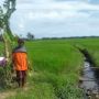 Mentan: Dengan RJIT, Petani Tak Perlu Khawatir Saat Musim Kemarau