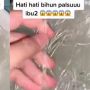 Videonya Peringatkan Bihun Palsu Viral, TikToker Banjir Hujatan
