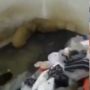 Pemilik Kos Buka Paksa Kamar Driver Ojol, Pas Dibuka Melongo Isinya Sampah Menggunung