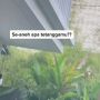 Curhat Wanita Dikomplain Tetangga Gegara Berisik, Anak Nangis Nggak Boleh