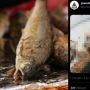 Baru Makan Separuh, Warganet Tetiba Syok Lihat Ada Wajah Misterius di Ikan Goreng Ini