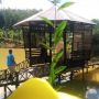 Sambut Ibu Kota Negara Baru, Warga Penajem Mulai Kembangkan Daerah Wisata