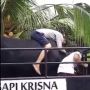 Bak Kehilangan Kekasih, Viral Potret Peternak Ditinggal Sapi Kesayangannya Diangkut Pikap