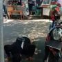 Nakes di Sukabumi Dihukum Push Up oleh Prajurit TNI Gara-gara Ini