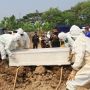 Banyak Jurnalis Gugur Akibat Pandemi, Satgas Covid-19 Ucapkan Belasungkawa