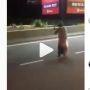 Viral Lagi, Pria Salat di Tengah Jalan, Warganet Geram: Tendang Aja..!