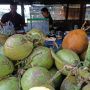 Penjualan Kelapa Muda Melonjak Ditengah Pandemi Covid-19
