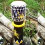 Tuma Alat Musik Khas Kalimantan Barat, Sejarah Hingga Cara Pembuatannya