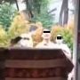 Viral Satu Keluarga Isoman Kehabisan Obat dan Makanan, Tetangga Malah Mengintimidasi