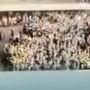 CEK FAKTA : Benarkah Puluhan Ribu TKA China Demo di Perusahaan Tambang Morowali ?