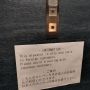 Hotel di Tokyo Larang Tamu Asing Berbagi Lift dengan Orang Jepang, Simak Faktanya