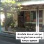 Viral Tetangga Cari Perkara Selalu Buang Garam ke Rumah, Hobi Rusak Bunga Diam-diam