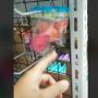 Pemilik Petshop Curhat Dagangan Dikutil Bocah, Ortu Malah Ngegas: Namanya Juga Anak Kecil