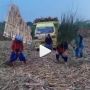 Kocak! Viral Bapak-bapak di Ponorogo Main Reog di Ladang Tebu, Netizen: Nambah Imun..!