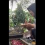 Pilu, Wanita Bawa Kue Ultah ke Kuburan, Rayakan Ulang Tahun Ibu