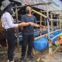 Pemkot Depok Perbolehkan Potong Hewan Kurban, Berikut Syarat dan Ketentuannya