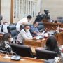 DPR: Perlu Perhatian Ekstra terkait Pembayaran Insentif Nakes Covid-19