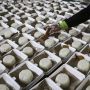 Dapur Umum Bantu Warga Isolasi Mandiri di Kota Tangerang