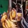 Viral! Pisang Membusuk Dampak PPKM Darurat, Pedagang di Karawang Menjerit