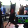 Pemotongan Hewan Kurban Secara Online di Bogor