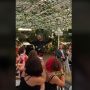 Wow! Bukan Bunga, Pengantin Ini Malah Tabur Uang saat Prosesi Menuju Altar