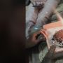 Dikira Kue Ulang Tahun, Cewek Terkejut Pas Tahu Isinya sampai Diketawain