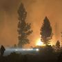 Kebakaran Hutan Hanguskan 300 Ribu Hektar di Oregon AS