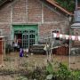 Banjir Rendam Wilayah Kabupaten Cilacap