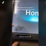 Bikin Geleng-geleng, Gerombolan Semut Ini Masuk ke Balik Layar TV, Kok Bisa?