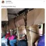 Viral Angkot Taat Prokes Pakai Pembatas dari Kardus Bekas, 'Mirip Wartel Berjalan'