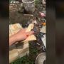 Nyesek! Mendadak Batal Nikah, Viral Pria Ini Bakar Undangan Pernikahannya Sendiri