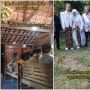 Nikah Sederhana, Pengantin ini Foto di Samping Kandang Sapi, Hasilnya Bikin Terkesima