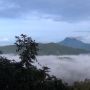 Pesona Bukit Jamur Bengkayang, Bak Negeri di Atas Awan
