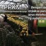 Viral! Kecewa PPKM Diperpanjang, Petani Bunga Rusak Tanamannya karena Rugi