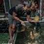 Pelihara Ikan Koi, Cara Ega Rizky Hindari Stres di Masa PPKM