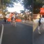 Viral Aksi Driver Antar Makanan Menunggang Kuda Putih, Bak Pangeran yang Menyamar