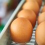 Cepat Rusak, 5 Makanan Ini Sebaiknya Jangan Dimasukkan ke Freezer