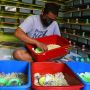 Permintaan Hamster Meningkat saat Pandemi Covid-19
