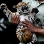 8 Wahana di Taman Safari Prigen, Ada Uji Nyali Beri Makan Satwa Karnivora