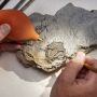 Kuburan Makhluk Laut Mirip Alien dari Zaman Dinosaurus Ditemukan