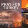 Kebakaran Hutan di Turki, Tagar #PrayForTurkey Bergema di Jagat Maya