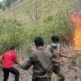 Karhutla di Dairi dan Karo, Puluhan Hektare Lahan Hangus Terbakar