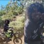 Viral Pemotor Trail Banyak Bacot Ejek Skill Teman Nanjak, Akhirnya Terbukti Kosong