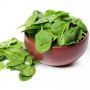 Tak Banyak yang Tahu, Ternyata Bayam Bisa Kurangi Risiko Kanker Kulit