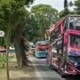 Viral Bus Oleng Penumpangnya Malah Girang, Netizen: Buat Orang Stress itu Gaya