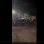 Viral Ajang Street Fight Makasar, Petarung Berkelahi Sampai KO