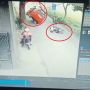 Viral Pemotor Terpeleset Nyaris Jemput Ajal, Reaksi Sopir Angkot Bikin Publik Takjub