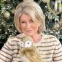 Awet Muda di Umur 80, Rahasia Kecantikan Pebisnis Martha Stewart Ternyata Simpel